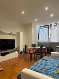 Appartamento bilocale Mostacciano 55mq