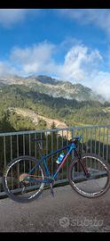 Mtb full carbon