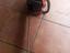 Immagine 4