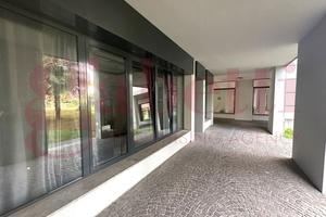 Negozio Albano Sant'Alessandro