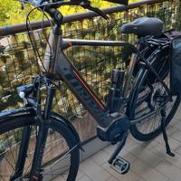 Bicicletta Elettrica