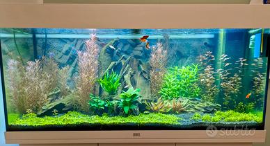 Acquario Jevel con supporto