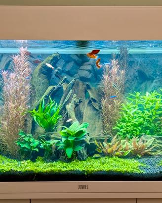 Acquario Jevel con supporto