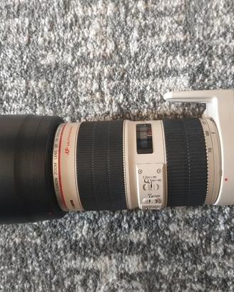 canon 