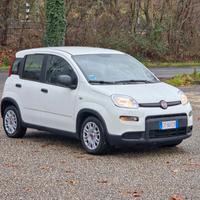 Fiat Panda 1.0 FireFly S&S Hybrid 2024-E6 Manuale 