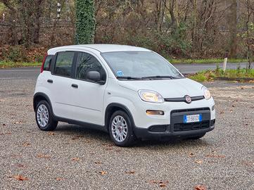 Fiat Panda 1.0 FireFly S&S Hybrid 2024-E6 Manuale 