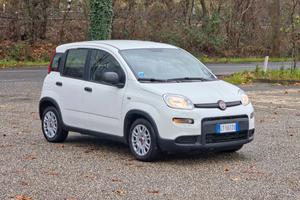 Fiat Panda 1.0 FireFly S&S Hybrid 2024-E6 Manuale 