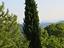 Immagine 27
