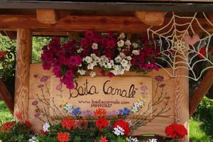 VACANZA IDEALE in Baita Cornale'