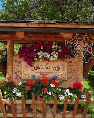 VACANZA SPECIALE in Baita Cornale'