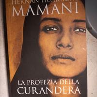 La Profezia della Curandera–Hernán Huarache Mamani