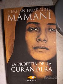 La Profezia della Curandera–Hernán Huarache Mamani