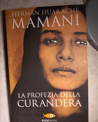 La Profezia della Curandera–Hernán Huarache Mamani