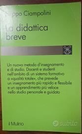 saggio/libro "la didattica breve"