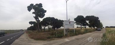TARANTO SAN GIORGIO SS7ter LOCALITÀ MONTEFUSCO