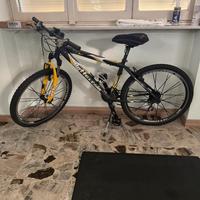 Montain bike muscolare