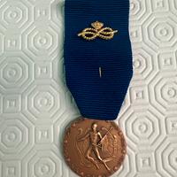 Medaglia al merito UMI