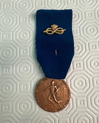 Medaglia al merito UMI