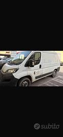 FIAT Ducato 33 2.3 MJT 120CV PC-TN Furgone