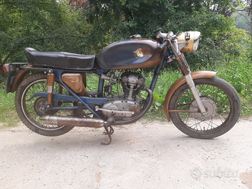 DUCATI 125 Sport 1965