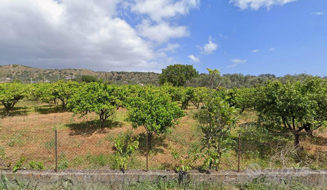 Rif.RI510| terreno agricolo sant'ilario dello ion - Vista 2