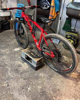 Mtb felt