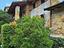 Immagine 27
