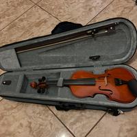 Violino