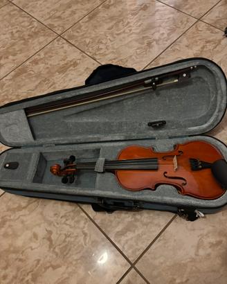 Violino