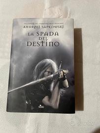 La spada del destino di Andrzej Sapkowski