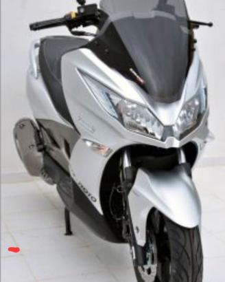 Cupolino Kawasaki J 300 