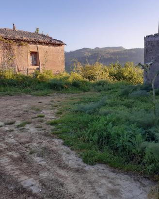 Terreno,Noccioleto,Fabricati rurali