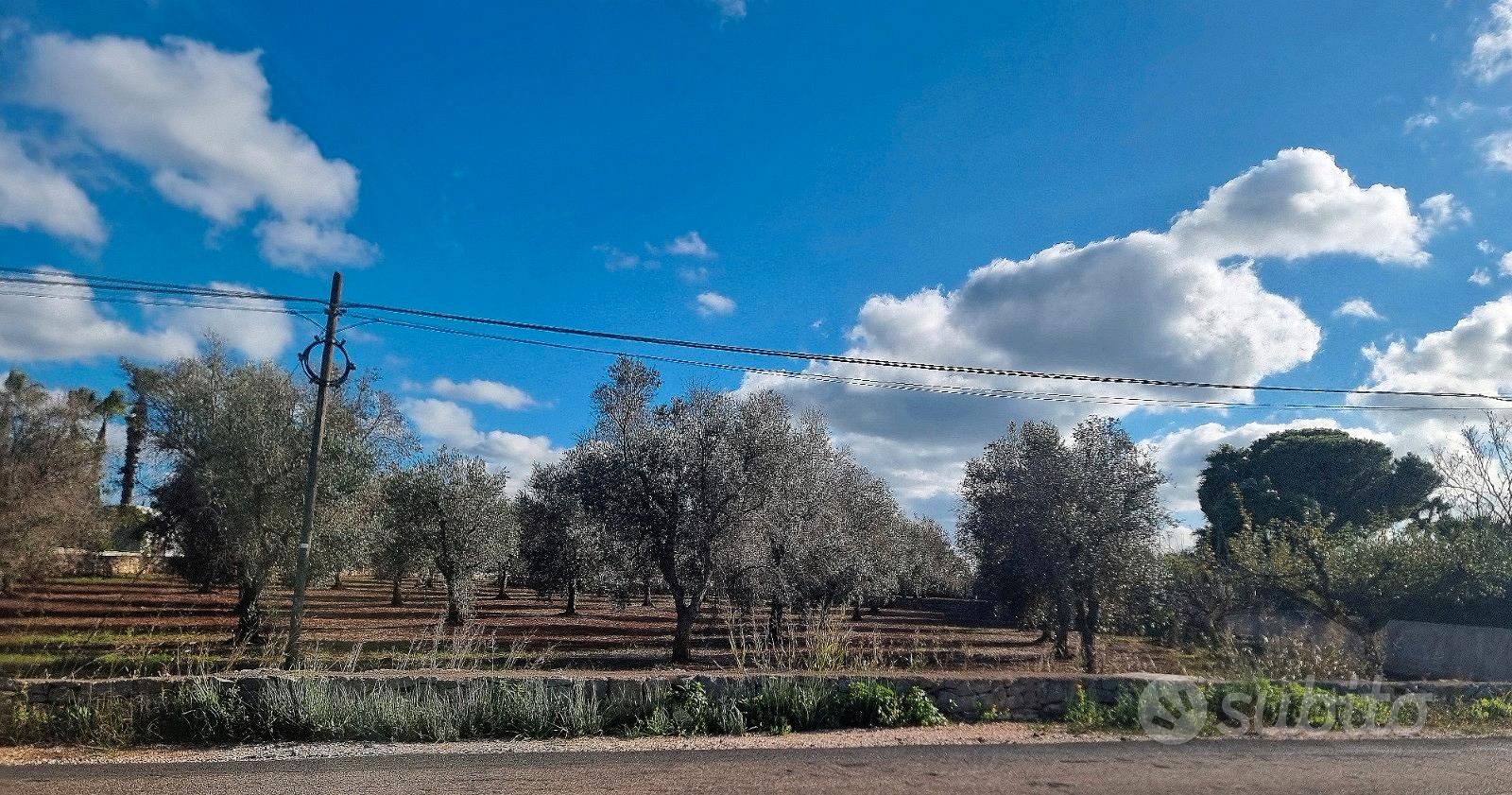 Terreno agricolo di 10822 m² edificabile e fraz - Vista 2