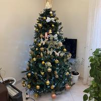 Albero di Natale