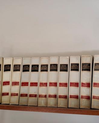 Enciclopedia Completa UTET – 22 Volumi 