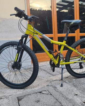 Mtb ruote 24