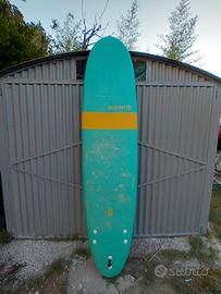 tavola surf 