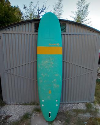 tavola surf 
