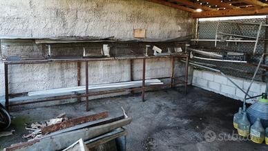 Gabbie per allevamento conigli e polli