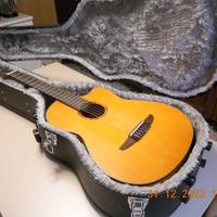 Custodia chitarra