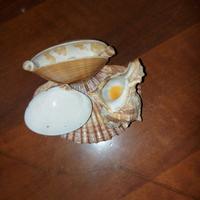 Conchiglia mare
