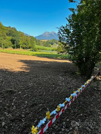 Terreno agricolo