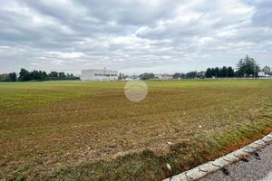 TERRENO A CASTEL GOFFREDO