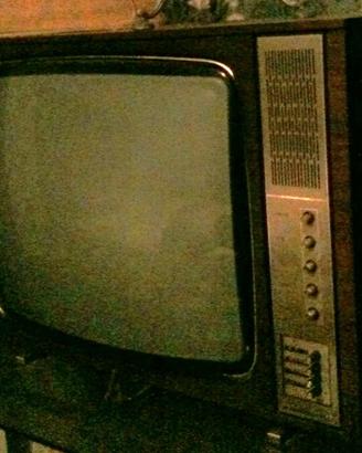 Televisore Vintage Anni '60/'70 in Legno - Moderna