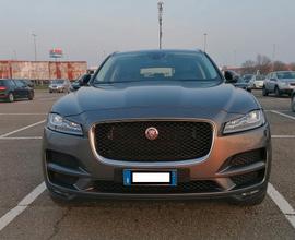 JAGUAR Face-Page come nuova