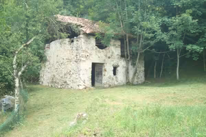 Rustico