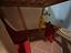 Immagine 6