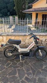 Califfone Rizzato 50