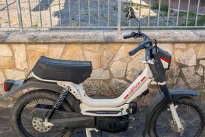 Califfone Rizzato 50