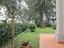Immagine 19